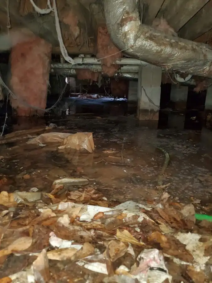 Crawl space flood assessment for Commercial Water Damage Restoration in McNair